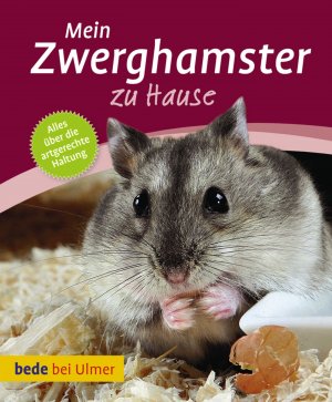 ISBN 9783800169382: Mein Zwerghamster zu Hause