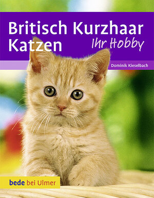 neues Buch – Kieselbach, Dominik;Betz – Britisch Kurzhaar Katzen