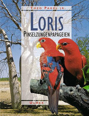 ISBN 9783800173525: Loris - Freileben, Haltung und Zucht der Pinselzungenpapageien