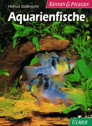 gebrauchtes Buch – Helmut Stallknecht – Aquarienfische