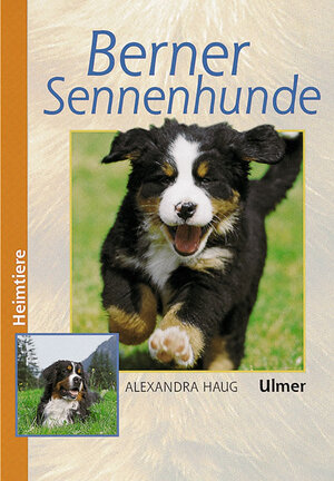 gebrauchtes Buch – Alexandra Haug – Berner Sennenhunde (Heimtiere)