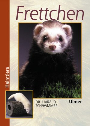ISBN 9783800174706: Frettchen