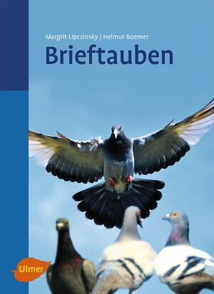 ISBN 9783800175710: Brieftauben