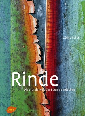 ISBN 9783800177660: Rinde - Die Wunderwelt der Bäume entdecken