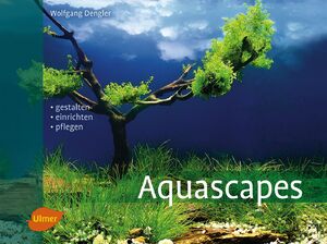 ISBN 9783800178704: Aquascapes | Gestalten, einrichten, pflegen | Wolfgang Dengler | Buch | 128 S. | Deutsch | 2013 | Eugen Ulmer KG | EAN 9783800178704