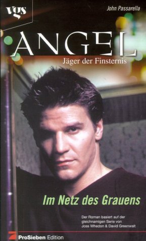 ISBN 9783802528668: Angel - Jäger der Finsternis – Im Netz des Grauens