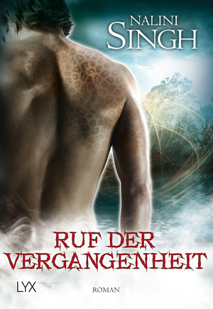 ISBN 9783802584022: Ruf der Vergangenheit