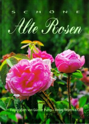 ISBN 9783804210936: Schöne alte Rosen