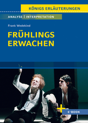 neues Buch – Frank Wedekind – Frühlings Erwachen - Textanalyse und Interpretation