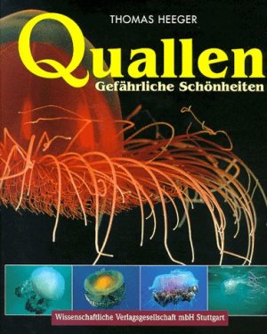 ISBN 9783804714878: Quallen - Gefährliche Schönheiten