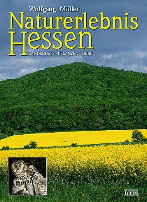 ISBN 9783806214185: Naturerlebnis Hessen – Landschaft - Pflanzen - Tiere