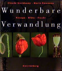 gebrauchtes Buch – Nuridsany, Claude / Pérennou – Wunderbare Verwandlung. Knospe. Blüte. Frucht