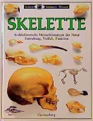 ISBN 9783806744019: Skelette - Sehen Staunen Wissen Faszinierende Forschung