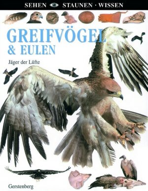 ISBN 9783806745702: Greifvögel & Eulen