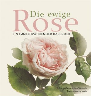 ISBN 9783809423553: Die ewige Rose:   Ein immer währender Kalender.