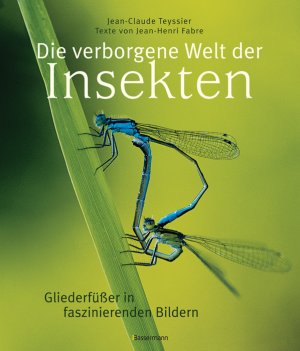 gebrauchtes Buch – teyssier fabre – die verborgene welt der insekten