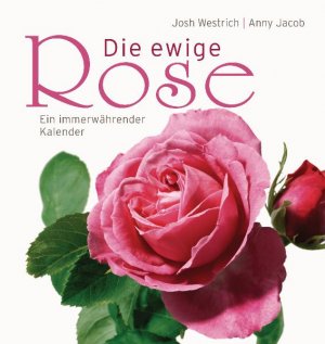 ISBN 9783809428466: Die ewige Rose - Ein immerwährender Kalender