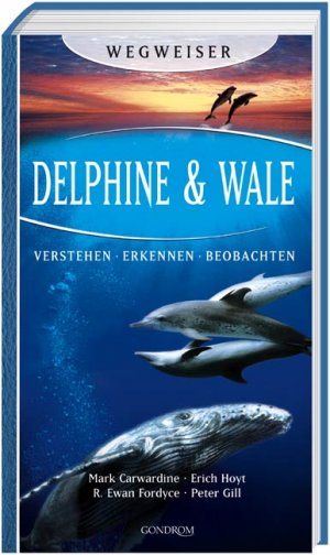 ISBN 9783811225930: Delphine & Wale – Verstehen - Erkennen - Beobachten