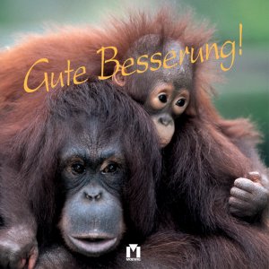 ISBN 9783811838154: Gute Besserung!