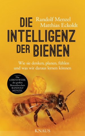 gebrauchtes Buch – Menzel, Randolf; Eckoldt – Die Intelligenz der Bienen - Wie sie denken, planen, fühlen und was wir daraus lernen können