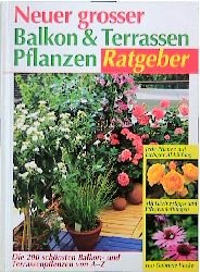 ISBN 9783817452811: Neuer grosser Balkon- und Terrassenpflanzen-Ratgeber: Die 200 schönsten Balkon- und Terrassenpflanzen von A-Z. Mit Gärtnertipps und Pflegeanleitungen