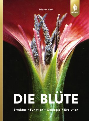 ISBN 9783818600648: Die Blüte – Struktur, Funktion, Ökologie, Evolution