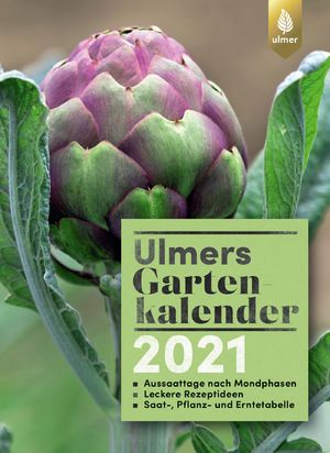 ISBN 9783818609269: Ulmers Gartenkalender 2021 - Aussaattage nach Mondphasen. Leckere Rezeptideen. Saat,- Pflanz- und Erntetabelle