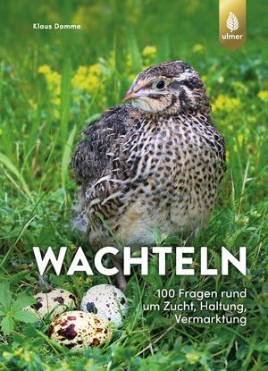 ISBN 9783818614225: Wachteln | 100 Fragen rund um Zucht, Haltung, Vermarktung | Klaus Damme | Taschenbuch | 160 S. | Deutsch | 2022 | Eugen Ulmer KG | EAN 9783818614225