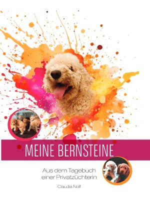 ISBN 9783818769345: Meine Bernsteine | Aus dem Tagebuch einer Privatzüchterin. DE | claudia Nolf | Taschenbuch | 80 S. | Deutsch | 2025 | epubli | EAN 9783818769345