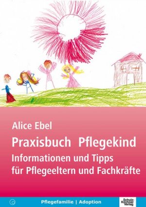 ISBN 9783824802883: Praxisbuch Pflegekind - Informationen und Tipps für Pflegeeltern und Fachkräfte