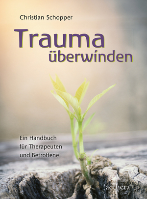 ISBN 9783825180133: Trauma überwinden