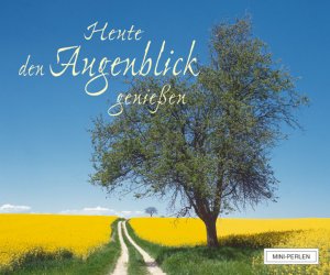 ISBN 9783825625528: Heute den Augenblick genießen