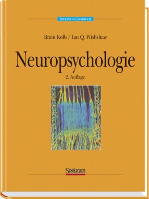 gebrauchtes Buch – Neuropsychologie Kolb, Brian und Whishaw – Neuropsychologie Kolb, Brian und Whishaw, Ian.Q.