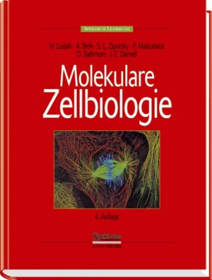 ISBN 9783827410771: Molekulare Zellbiologie