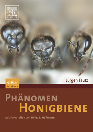 ISBN 9783827418456: Phänomen Honigbiene