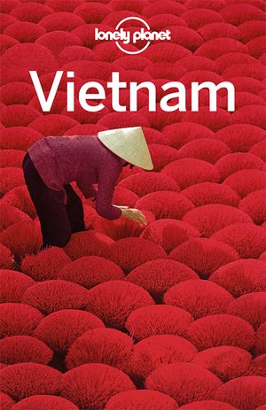 ISBN 9783829744690: Vietnam lonely planet