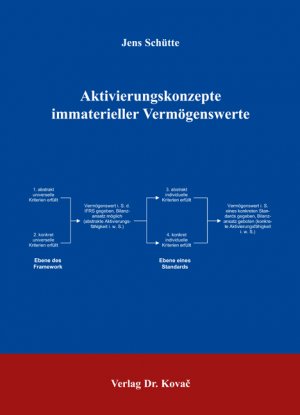 ISBN 9783830024095: Aktivierungskonzepte immaterieller Vermögenswerte (Schriften zum Betrieblichen Rechnungswesen und Controlling) Schütte, Jens