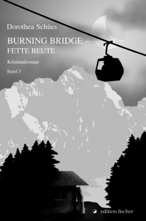 gebrauchtes Buch – Dorothea Schües – Burning Bridge – Fette Beute