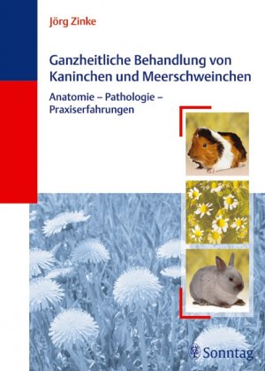 Jrg Zinke (Autor) - Ganzheitliche Behandlung