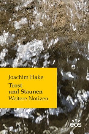 ISBN 9783830680291: Trost und Staunen - Weitere Notizen