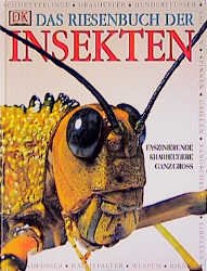 ISBN 9783831000814: Das Riesenbuch der Insekten