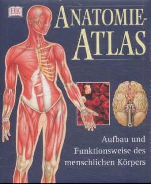 ISBN 9783831002412: Anatomie-Atlas