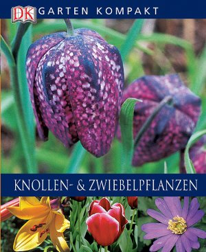 ISBN 9783831006687: Knollen- und Zwiebelpflanzen