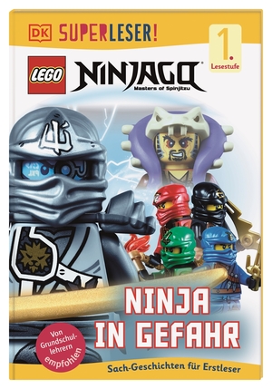 ISBN 9783831030583: LEGO Ninjago, masters of spinjitzu - Ninja in Gefahr