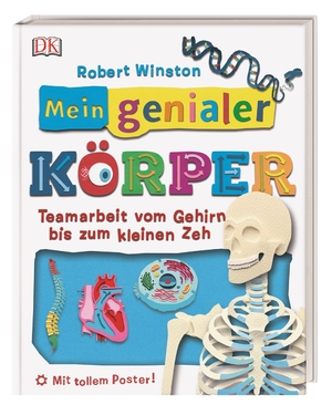 ISBN 9783831033737: Mein genialer Körper - Teamarbeit vom Gehirn bis zum kleinen Zeh. Mit tollem Poster!