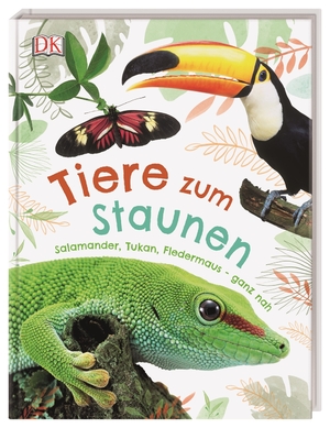 ISBN 9783831039388: Tiere zum Staunen - Salamander, Tukan, Fledermaus - ganz nah