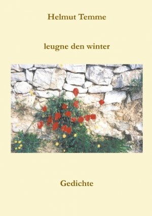 ISBN 9783831139996: Leugne den Winter