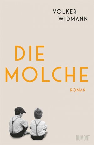 gebrauchtes Buch – Volker Widmann – Die Molche : Roman.