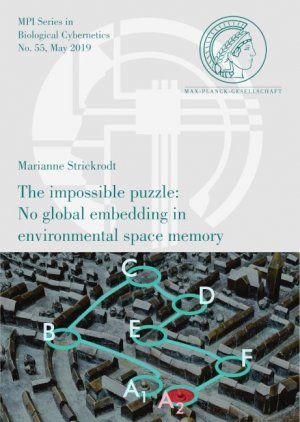 ISBN 9783832549251: The impossible puzzle: No global embedding in environmental space memory