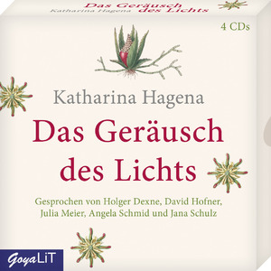 ISBN 9783833736711: Das Geräusch des Lichts